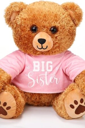 The Poen 16 Inch Big Sister Stuffed Animal Cute Big Sister Plush Bear Gifts for Little Girls Newborn Siblings Baby Shower Birthday Party Gifts, Brown