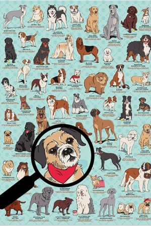 The Ridley's Dog Lover's 500-Piece Jigsaw Puzzle – Dog Puzzle with Informational Image About Different Breeds, Sturdy Storage Tube Included – Activity Puzzle – Makes a Great Gift