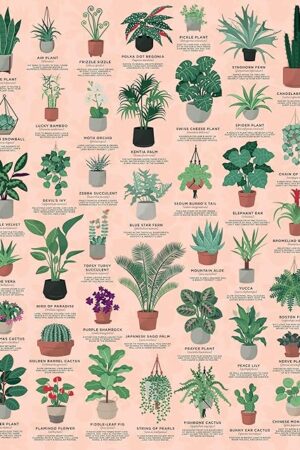 The Ridley's Games: House Plants 1000-Piece Jigsaw Puzzle | Perfect for Plant Owners with Over 30 Unique Plants | Perfect Room Décor Once Completed | Storage Tube Included