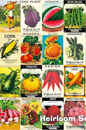 The Re-marks - Heirloom Seeds 1,000-Piece Jigsaw Puzzle