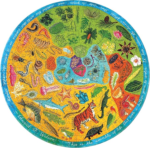 The eeBoo Biodiversity 500Pcs Round Jigsaw Puzzle, Adult, Sustainable, Cardboard, Logical Thinking, Portable, 23'' Diameter, by Kelsey Oseid