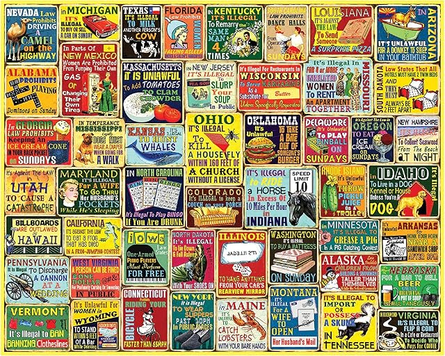 The White Mountain Crazy State Laws Funny Puzzles for Adults 1000 Piece Puzzle Fun Unique Collage