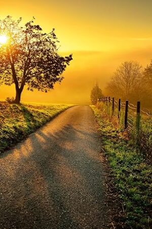 The Ravensburger - Landschaft in Morgensonne - 1000 Piece Jigsaw Puzzle - Stunning Sunrise on an Empty County Lane - Scenic Nature - Frameable - Premium Quality - Puzzles for Adults